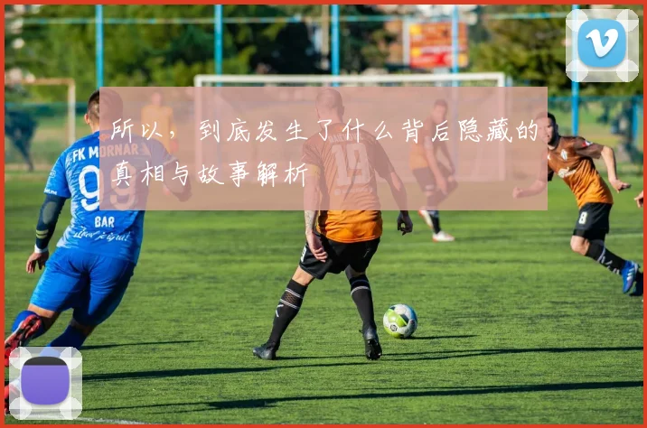 所以，到底发生了什么背后隐藏的真相与故事解析